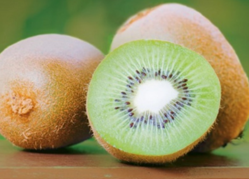 kiwi-fonte-syngenta