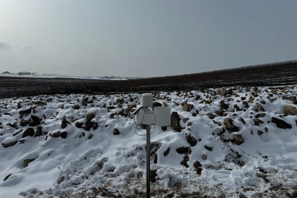 Elaisian Stazione Meteo Vigneto Armenia Neve 2023